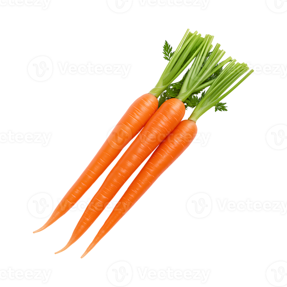 Fresh organic carrots with vibrant orange color and green tops png