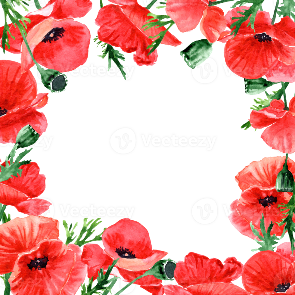 square Card with red poppies with copy Space. Design for posting or greeting png