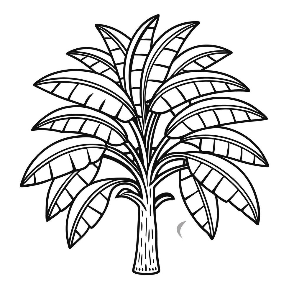 Printable Line Art Illustration of a Graceful Banana Tree vector