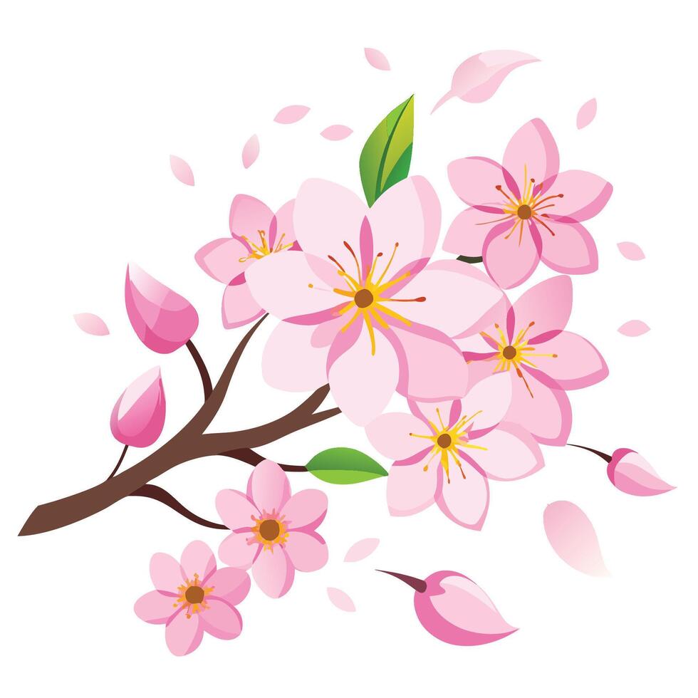 Transparent Cutout of Cherry Blossom Flowers on a Clear Background vector