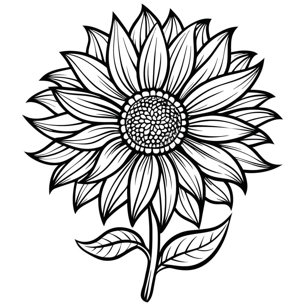 Intricate Line Art Depiction of a Graceful Sunflower for Printing Purposes vector