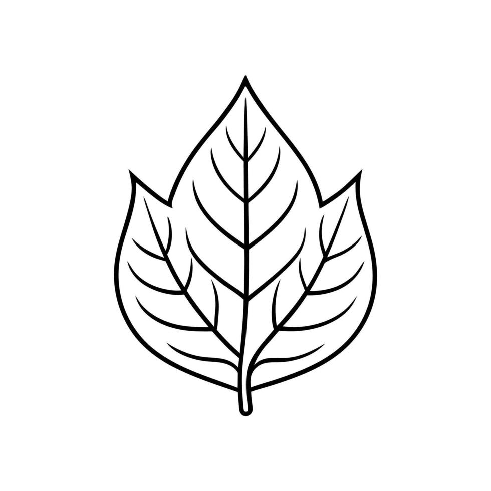 Minimalist Leaf Outline on White Background vector