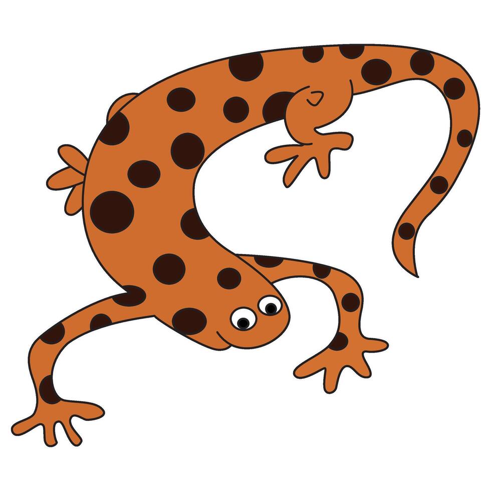 Lizard isolated on white background vector