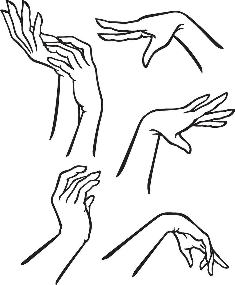 Graceful and Elegant Hands, Line Art vector