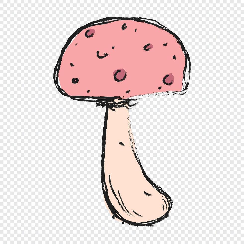 Mushroom hand drawn illustration. Floral element design. Hand drawn botanical illustration, vector