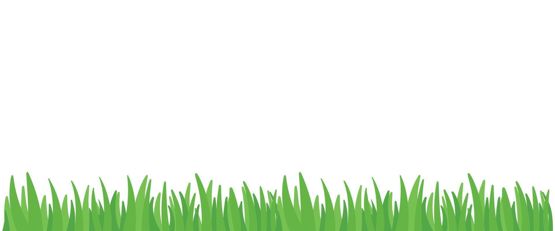 Green Grass Meadow Bottom Border for Background Element Decoration Illustration vector