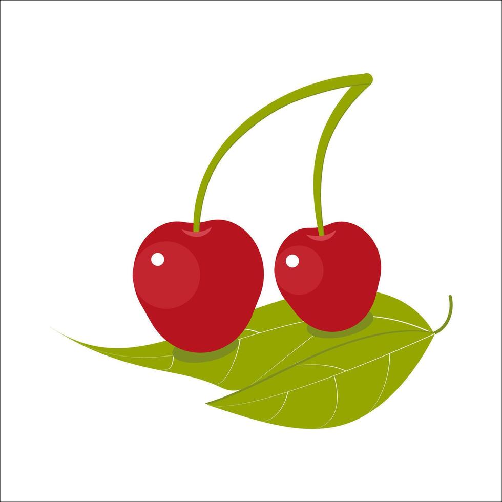Two cherries lying on the leaves. Flat style cherries on an isolated white background. vector