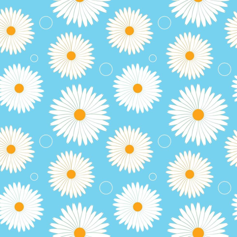Seamless pattern of white daisies on a blue background. vector