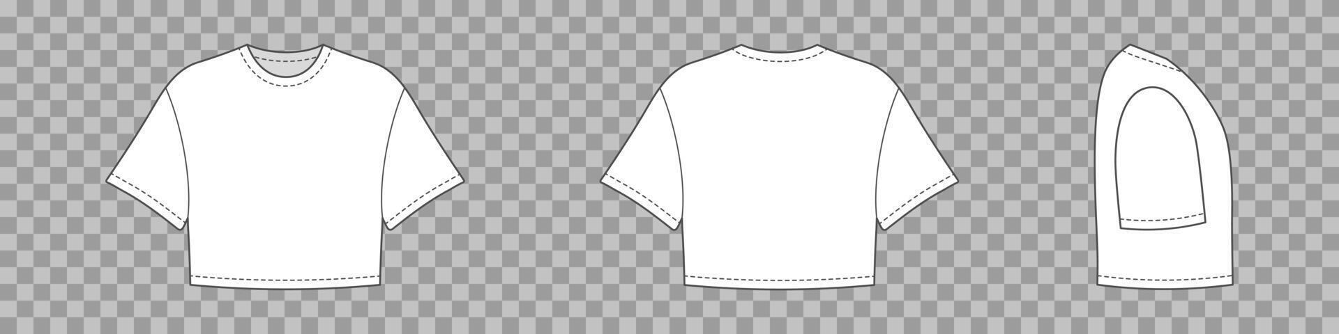 Crop top tshirt front and side back view isolated. Short sports shirt unisex for everyday wear and sports vector