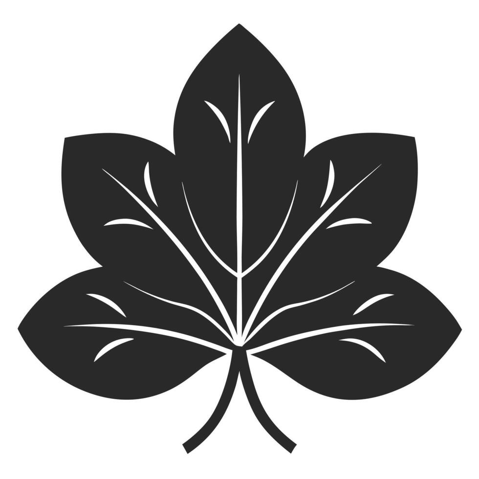 Stylized Leaf Graphic Design Element Isolated On White Background Illustration vector