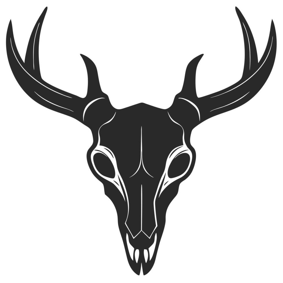 Elegant Deer Skull Illustration With Antlers Symbolizing Nature And Mortality vector