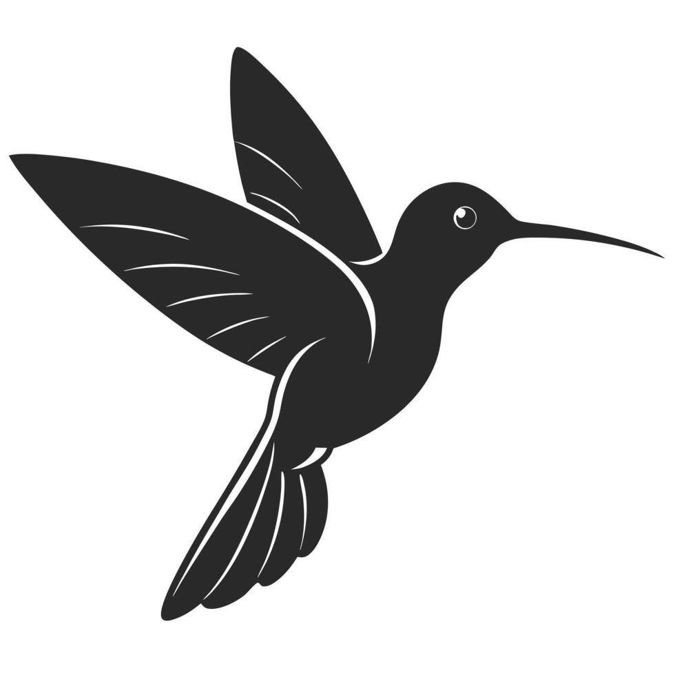 Hummingbird Flying Silhouette Illustration With Detailed Wing Design vector