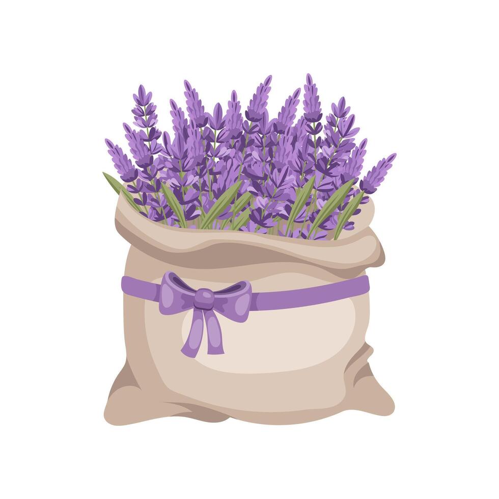 Bag of lavender flowers with purple bow. Illustration for a wedding invitation, postcard, logo. vector