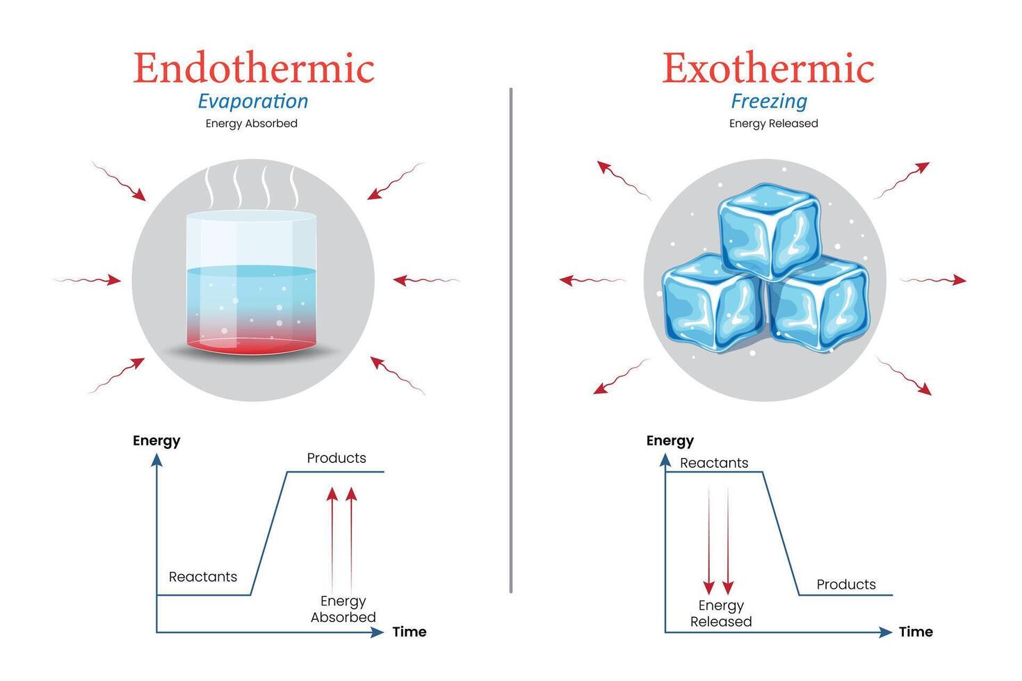 Diagram of Exothermic and Endothermic Reactions in Water Evaporation and Ice Freezing with Graph vector