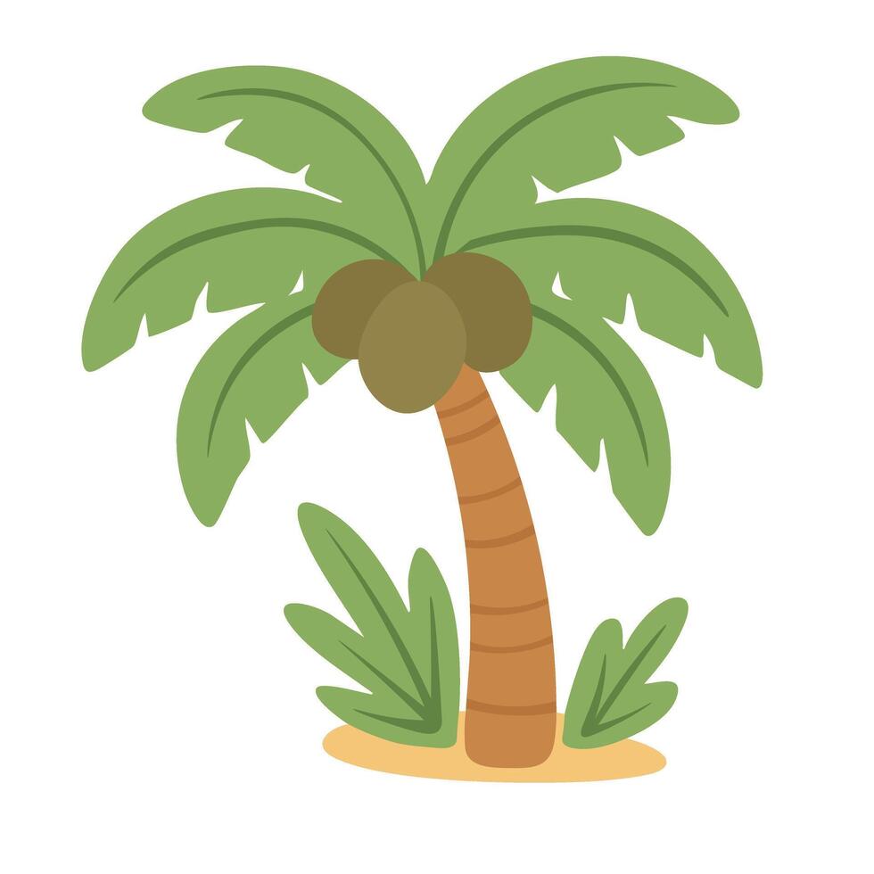 Cute tropical palm tree with coconuts and green leaves for summer, beach or island themes. vector