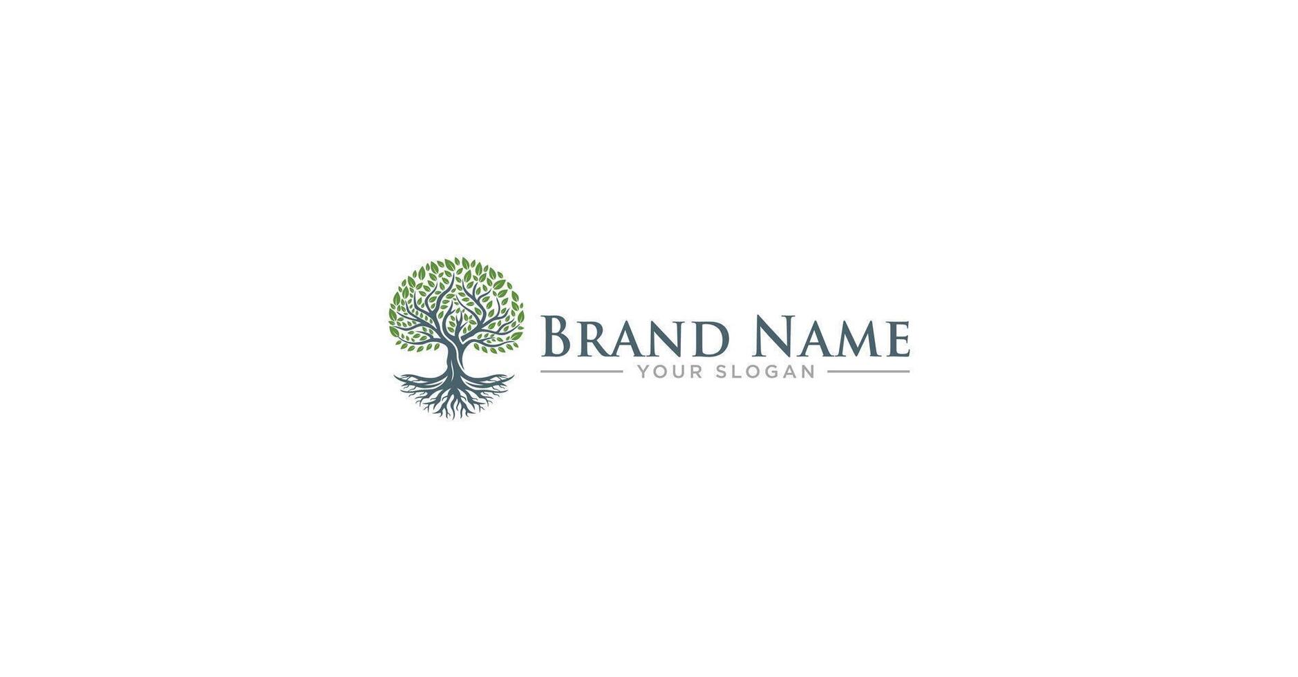 Tree Trunk Root Leaf Logo vector
