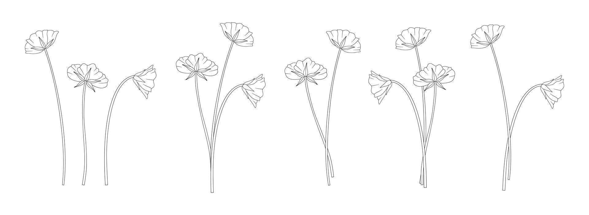 Set of wildflower bouquets. Bunches of blooming perennial wild plants. Line art, minimal style, contour. Botanical hand drawn elements for design projects. vector