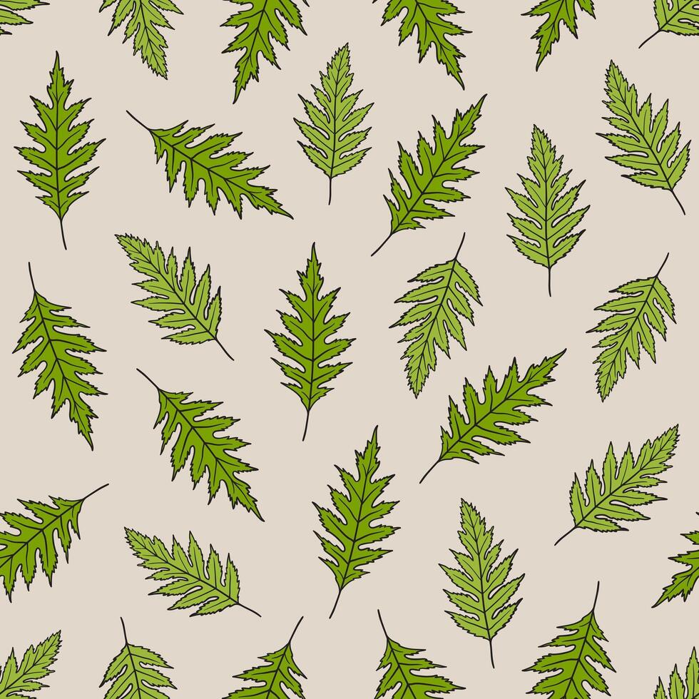 Seamless pattern with poppy leaves. Floral wallpaper, abstract nature background. Summer illustration. Print design template vector