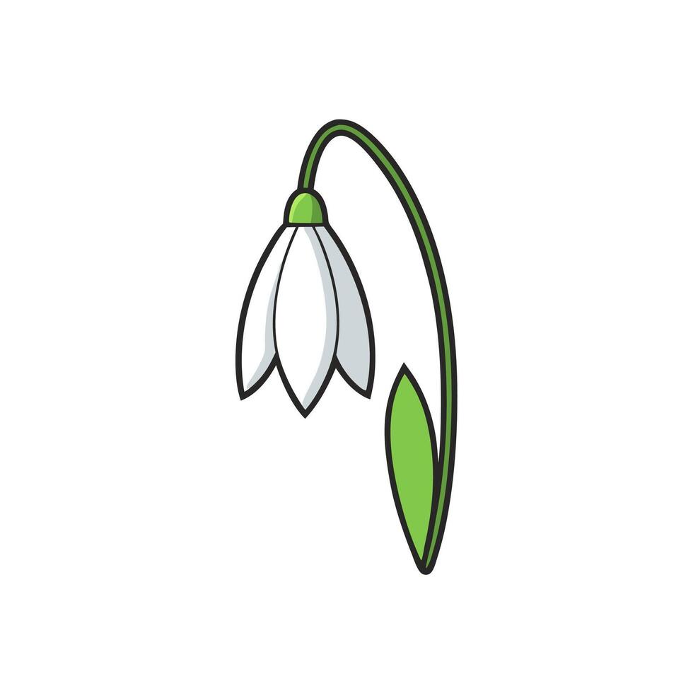 Snowdrop Flower Design vector
