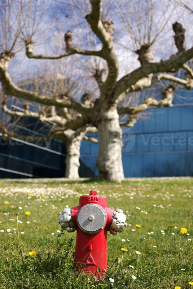 A red fire hydrant on a green lawn with blooming flowers, set against a modern glass building and a leafless tree with twisted branches photo