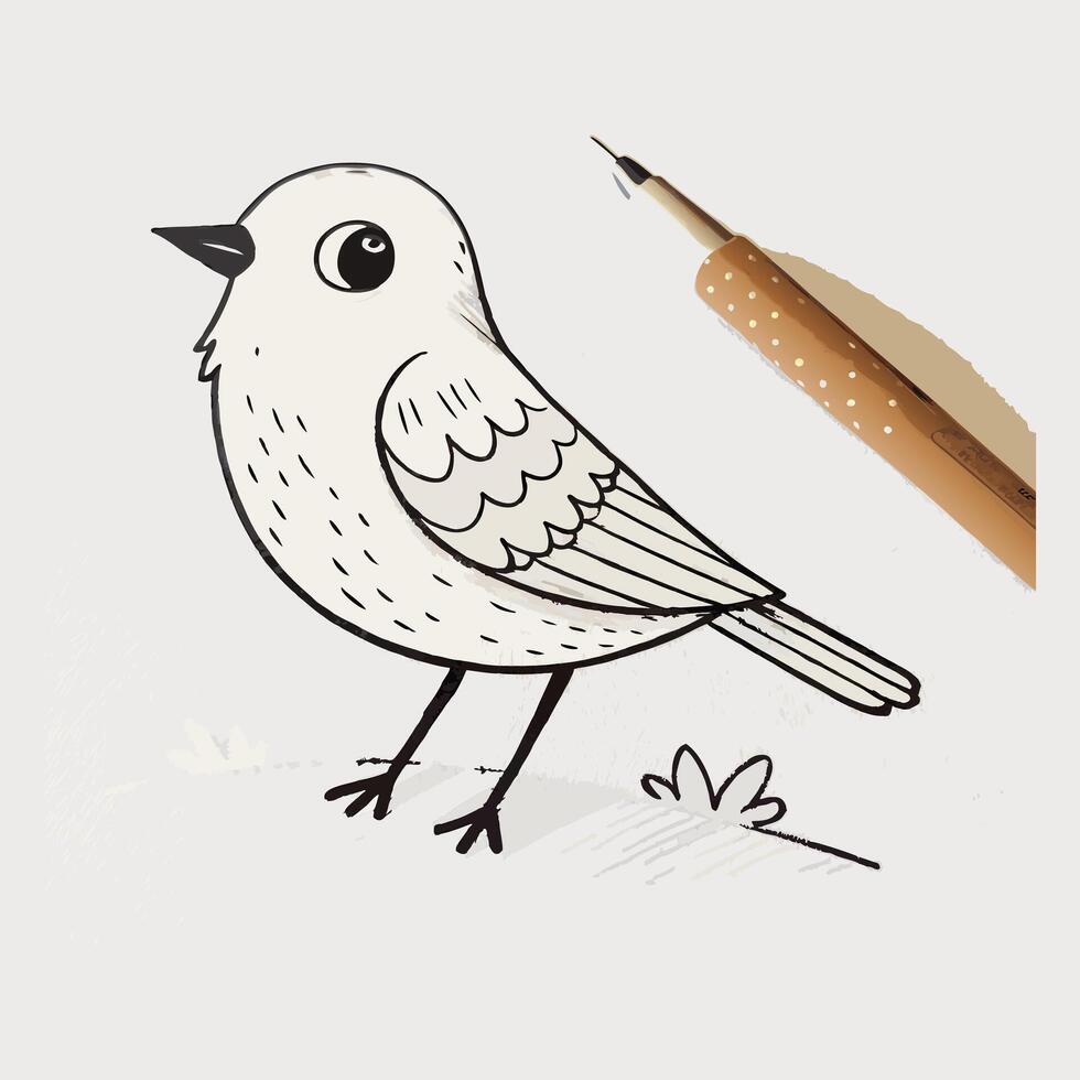 How to draw a bird vector