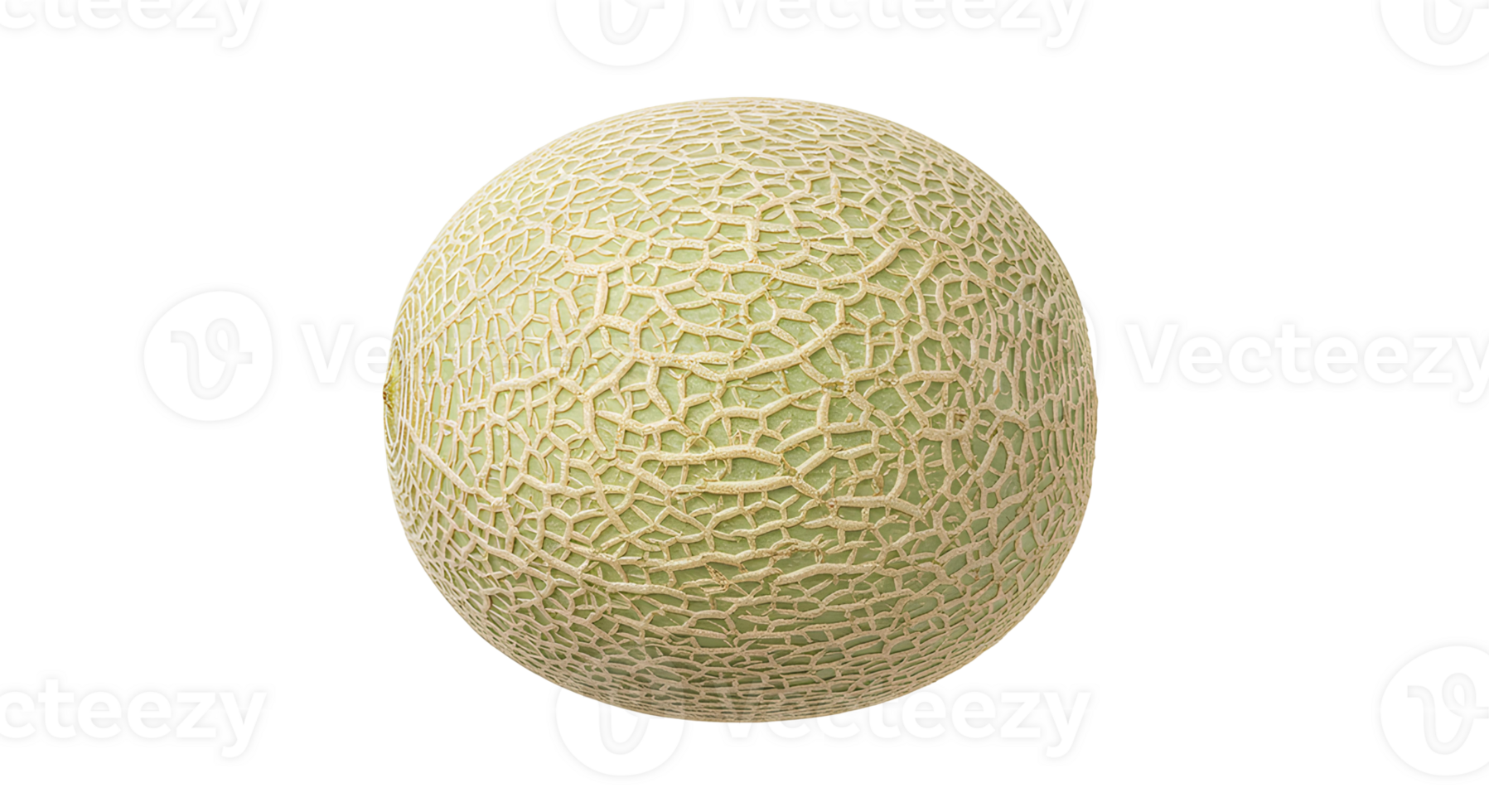 Honeydew melon top view and side view on transparent background for food stylists and nutritionists png