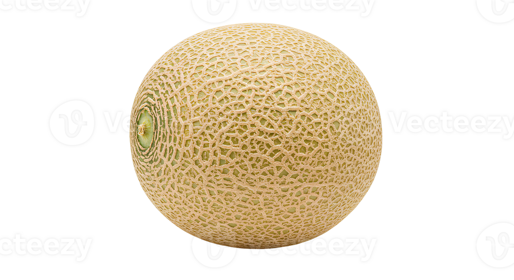 Whole cantaloupe fruit isolated on transparent background with realistic texture for nutrition ads, grocery marketing, and organic food campaigns png