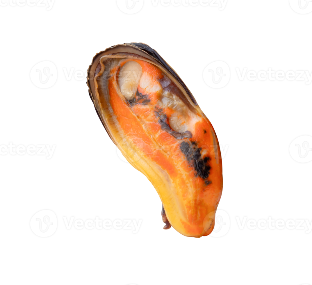 Cooked green mussels in red meat without shell isolated with clipping path in file format png