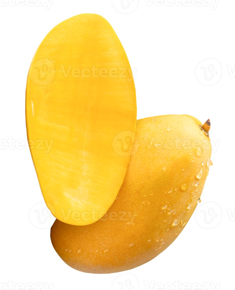 A vertical pile of single ripe yellow mango fruit with half and water droplets isolated with clipping path in file format png