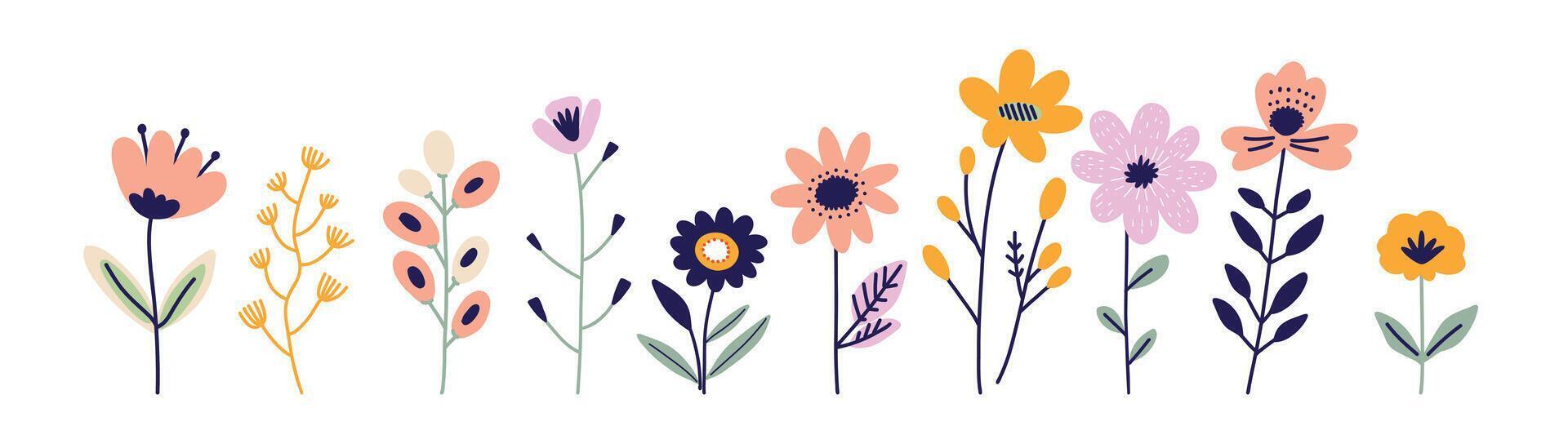 Floral set of hand drawn elements. Illustration for design, flat style. vector