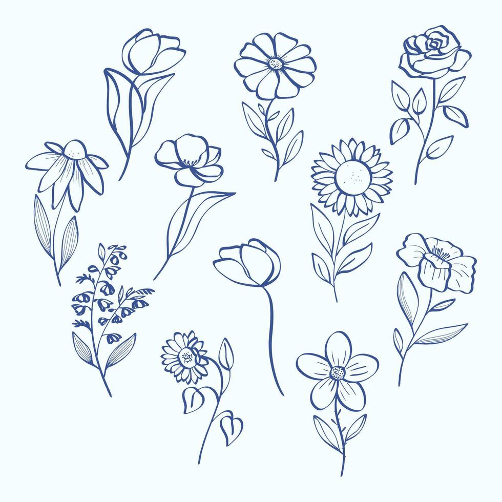 Collection of Delicate Floral Line Art Sketches vector