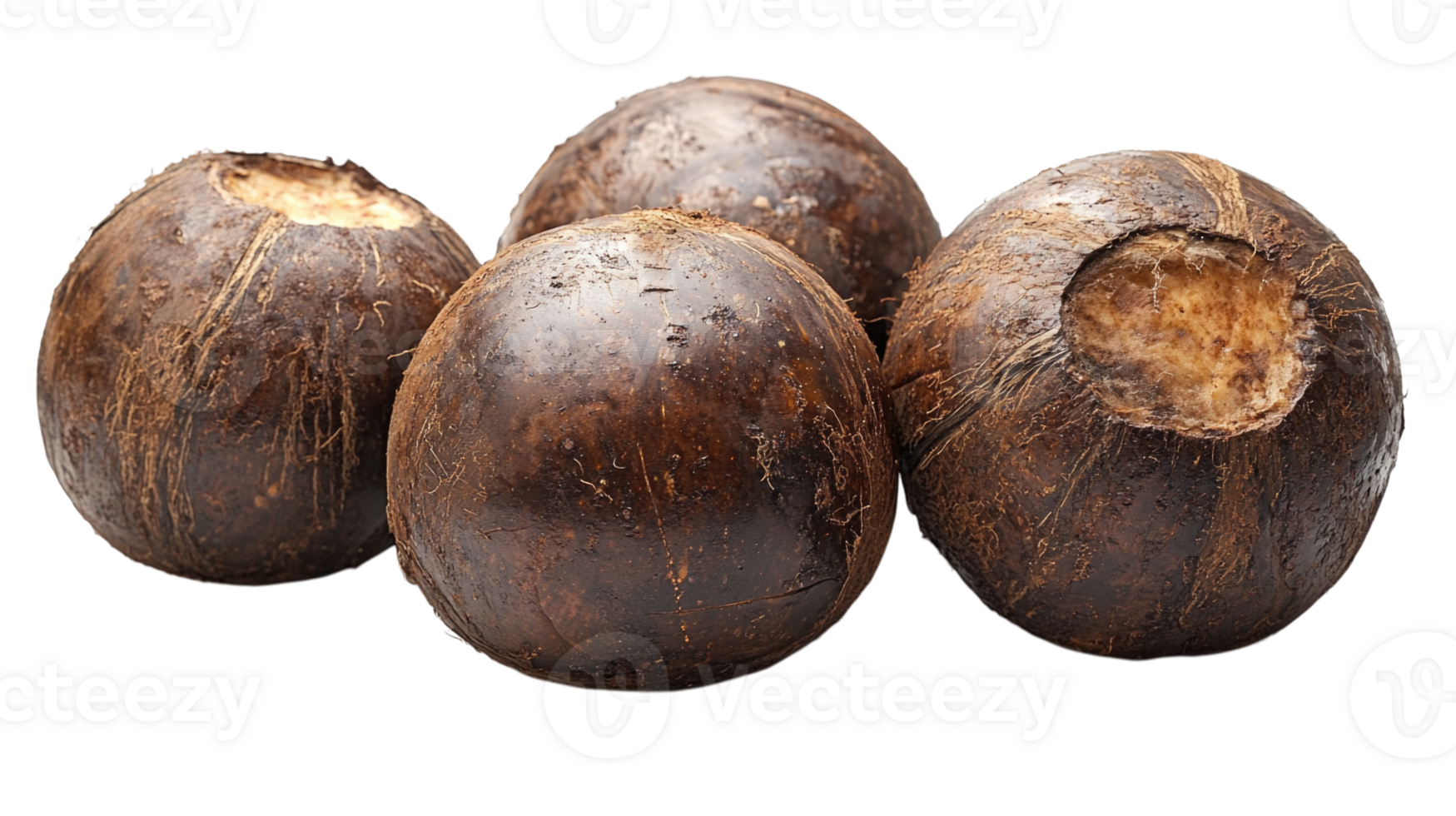 Brown root vegetables isolated on transparent background, png