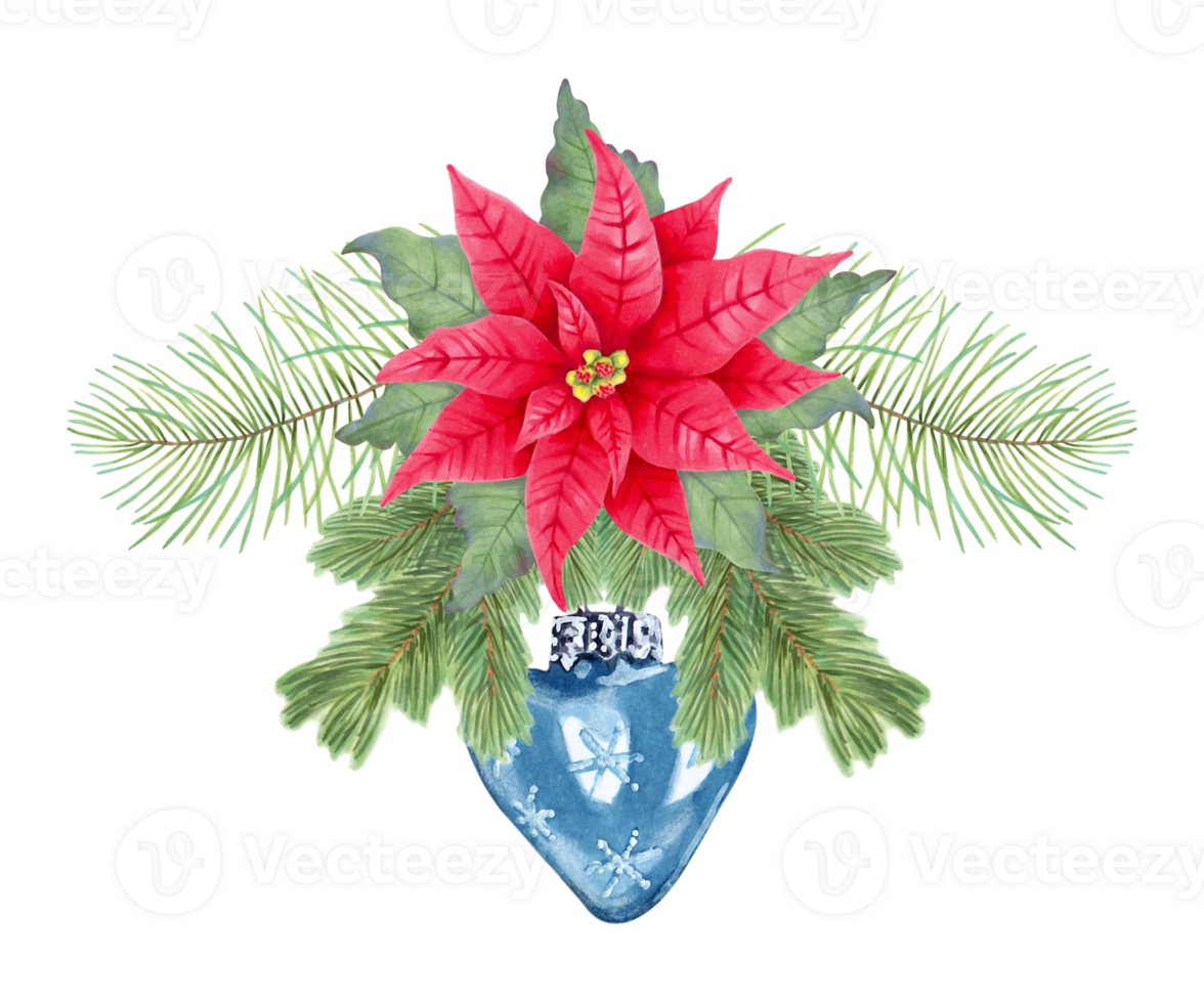 Fir branches are decorated with a poinsettia flower and a blue shiny Christmas tree decoration. Botanical watercolor illustration on the theme of New Year and Christmas. Hand drawn isolated clipart png