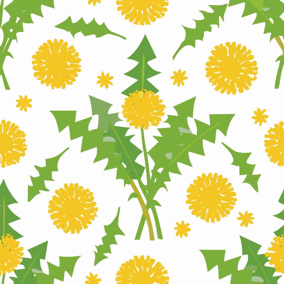 Seamless Pattern Dandelion Flower vector