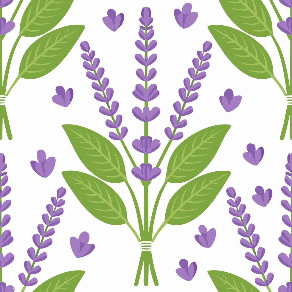 Seamless Pattern Sage Flower vector