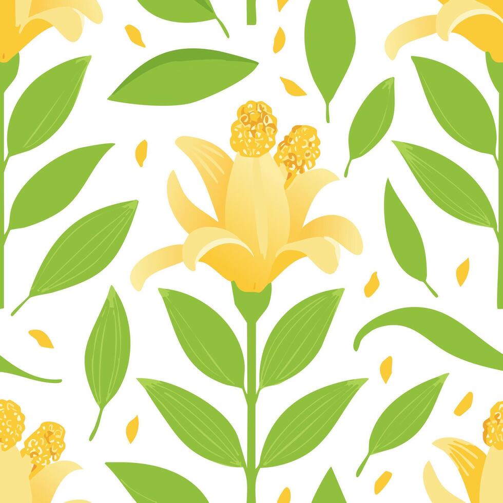 Seamless Pattern Ginger Lily Flower vector