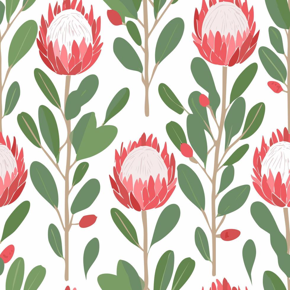 Seamless Pattern Protea Flower vector
