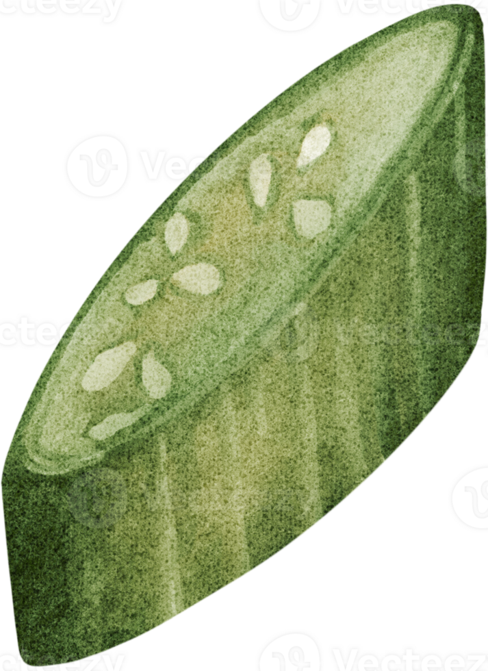 Freshly cucumber are rich in vitamins png