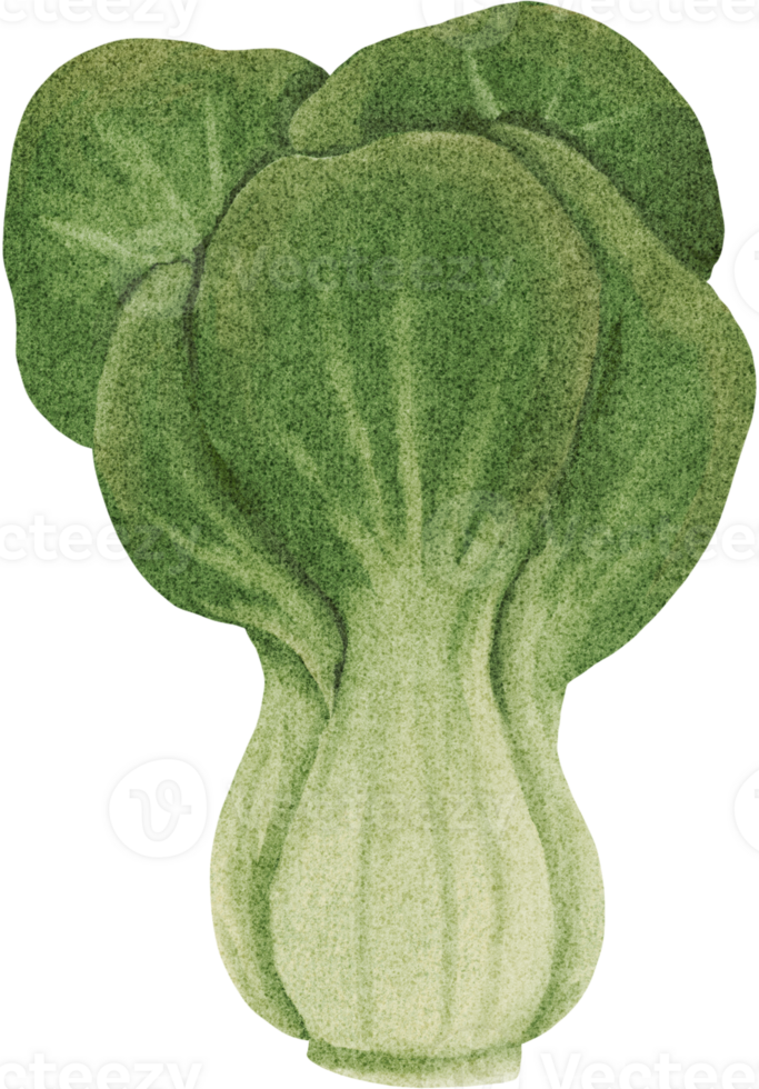 Freshly Cantonese are rich in vitamins png