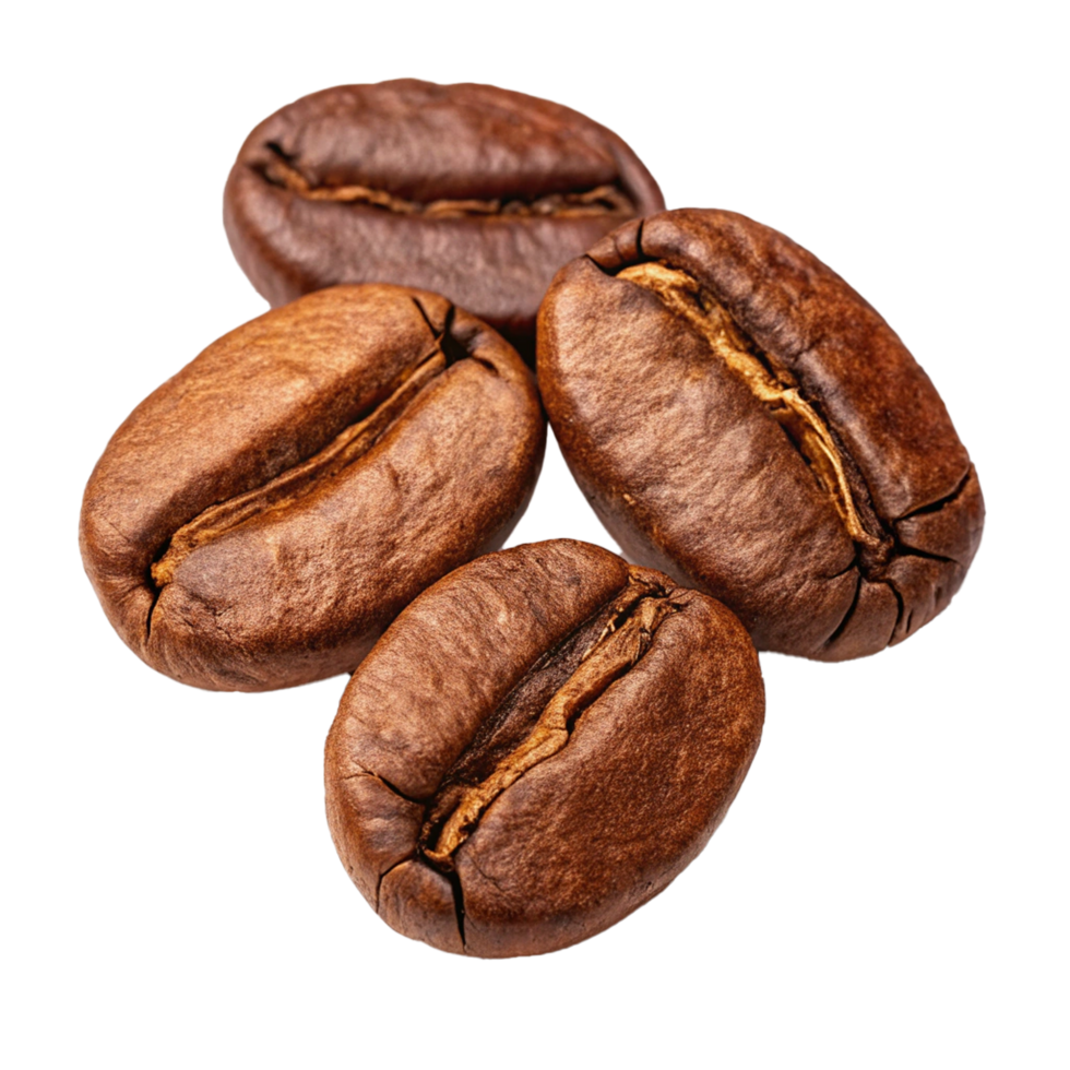 Close-up of coffee beans isolated png