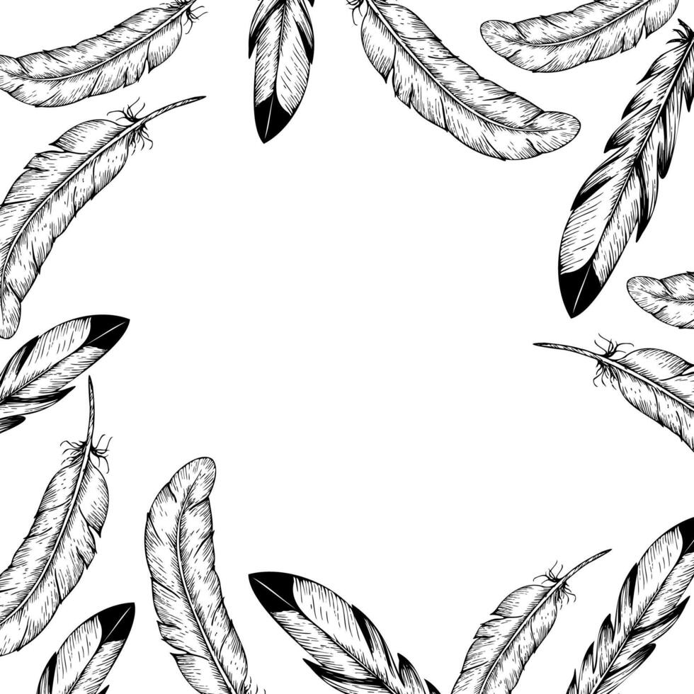bird feather frame. Hand painted linear quill pen illustration. Graphic monochrome template, sketch isolated on background. For designers, prints, logo, icon, menu, postcards, holiday, covers vector