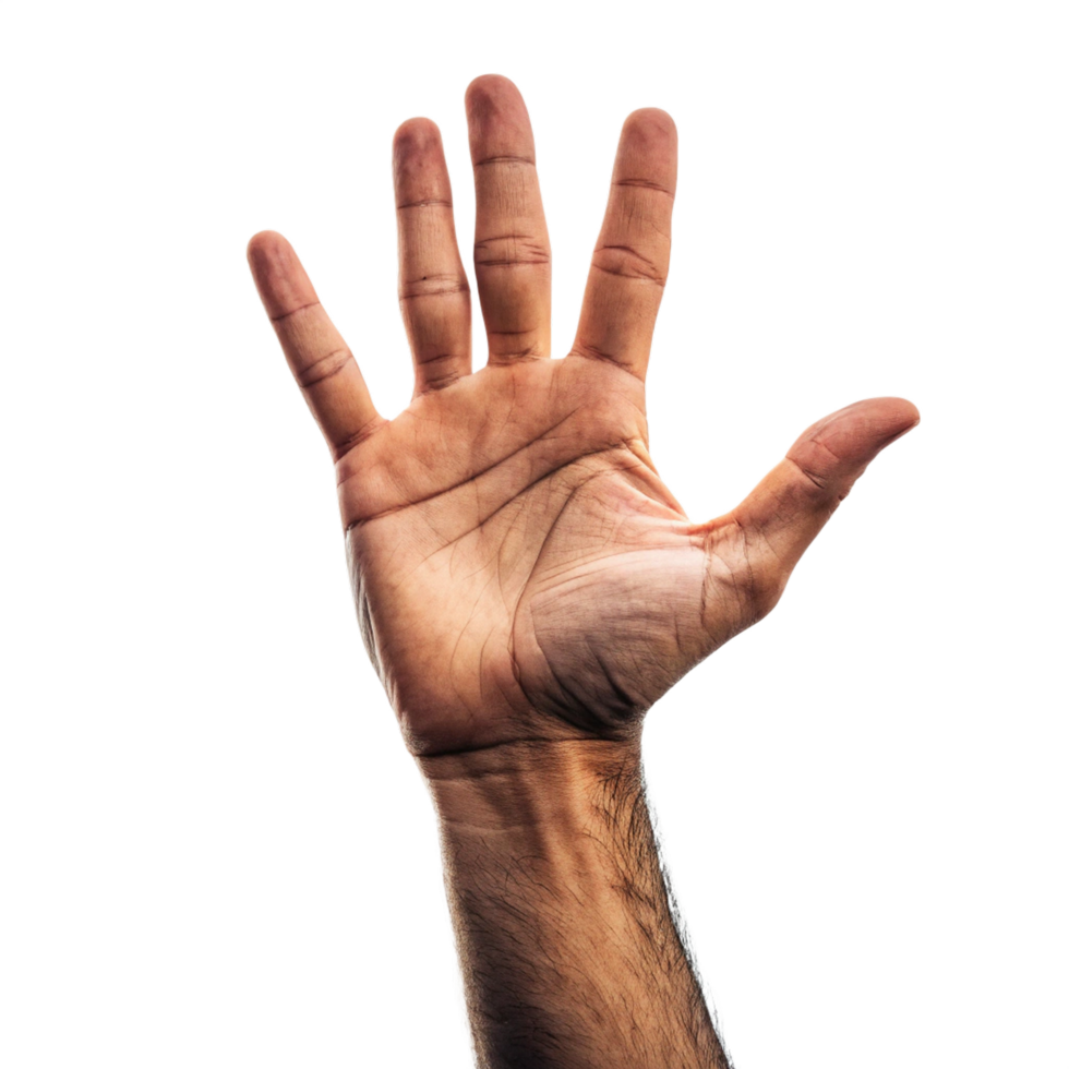 Reaching hand open palm studio shot isolated png