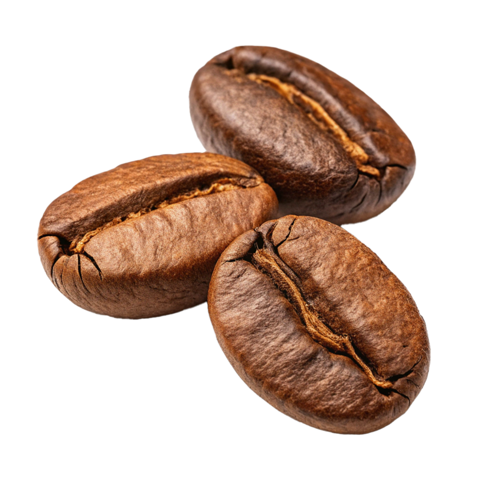 Roasted coffee beans isolated png