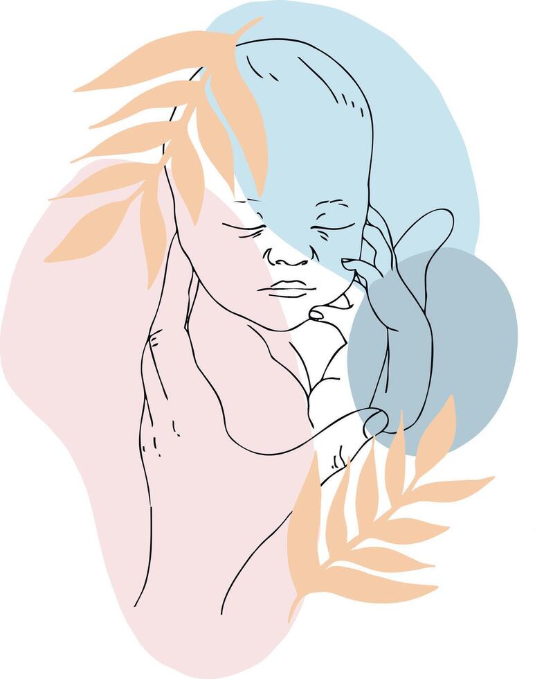 Contour image of a sleeping baby vector