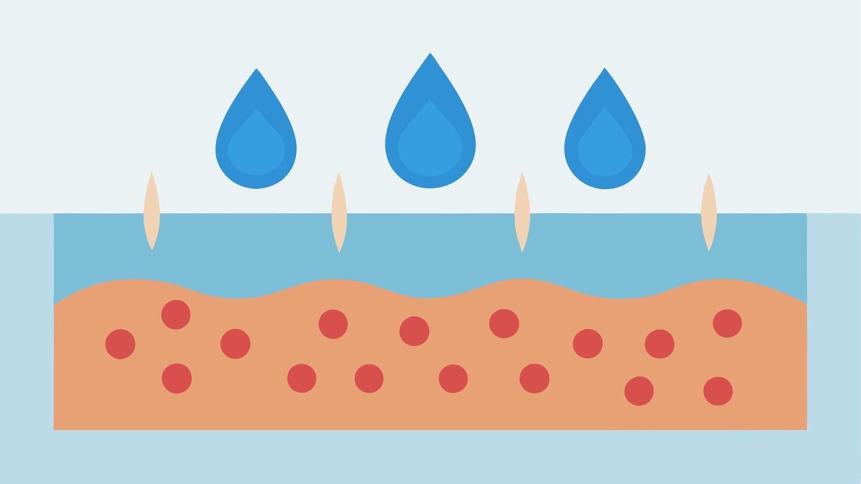Moisture Retention An illustration of a skin layer with large water droplets above transitioning to smaller droplets as they are absorbed by the skin with nanotechnology signifying. vector