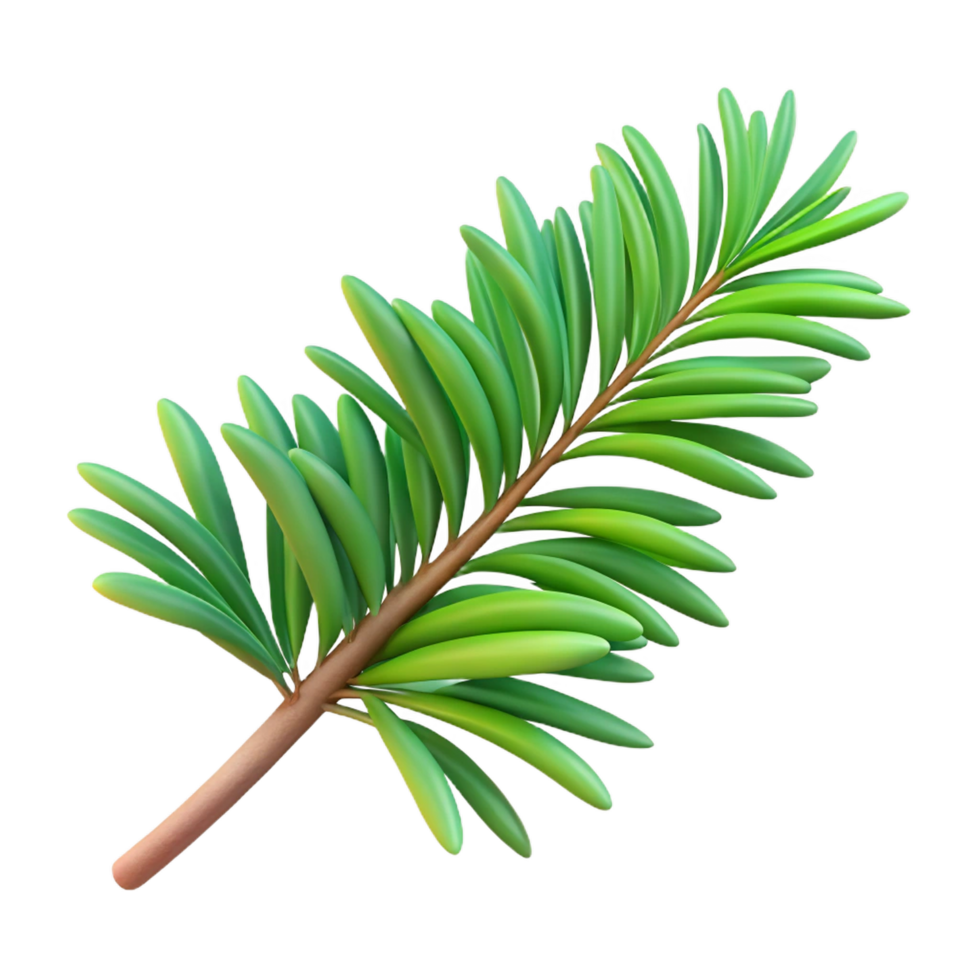 3d render evergreen branch png