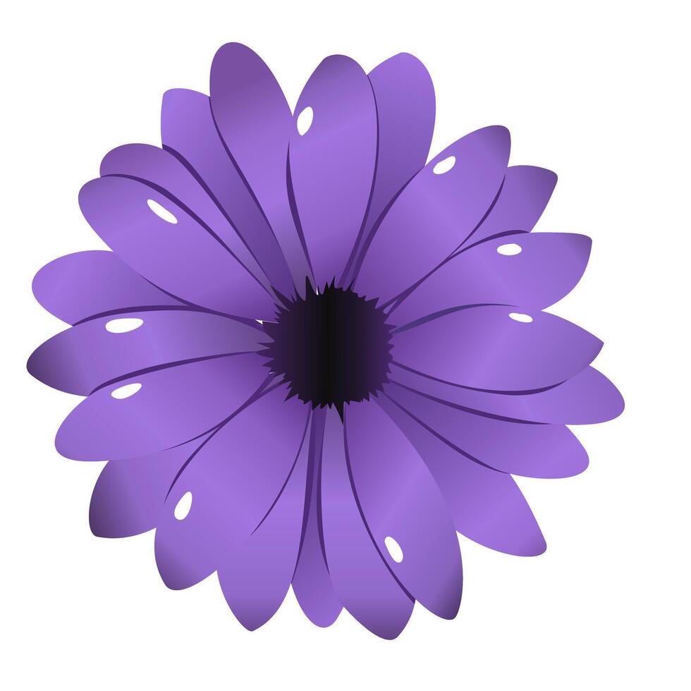 Flat Design of Purple Aster Flower for Botanical Decor vector