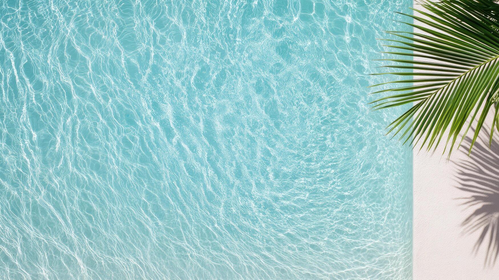 A palm tree and a pool with blue water photo