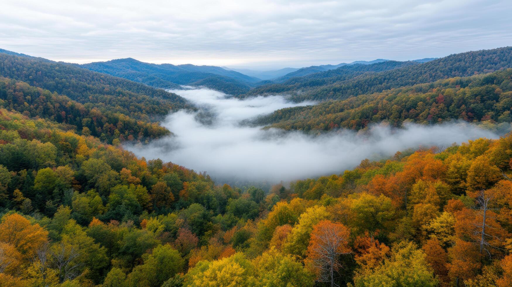 serene valley enveloped in mist, showcasing vibrant fall colors and rolling hills photo