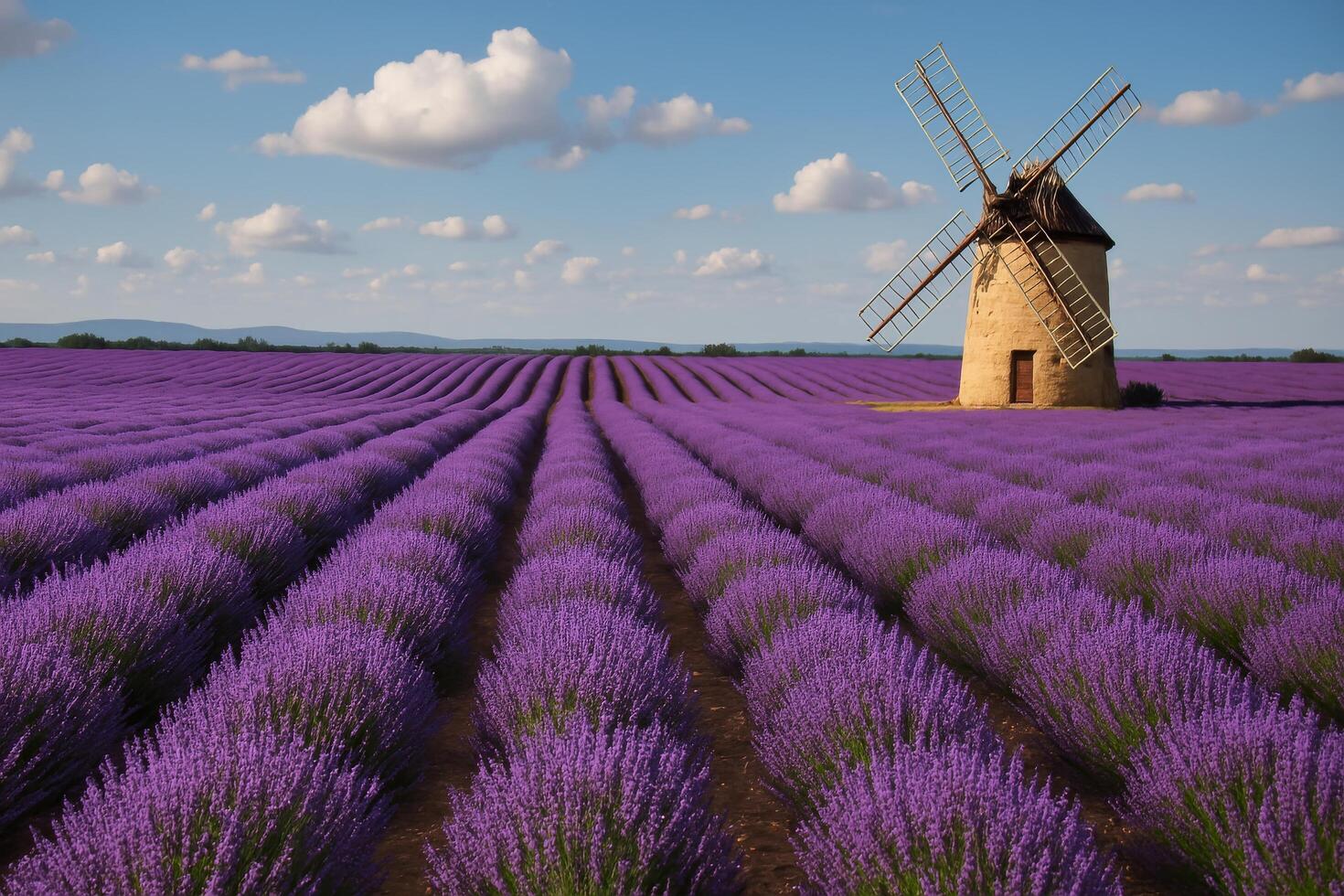 Lavender Field With Windmill Under a Blue Sky During Mid-Afternoon photo